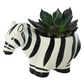 Sukulent GoodHome w doniczce zebra 7 cm