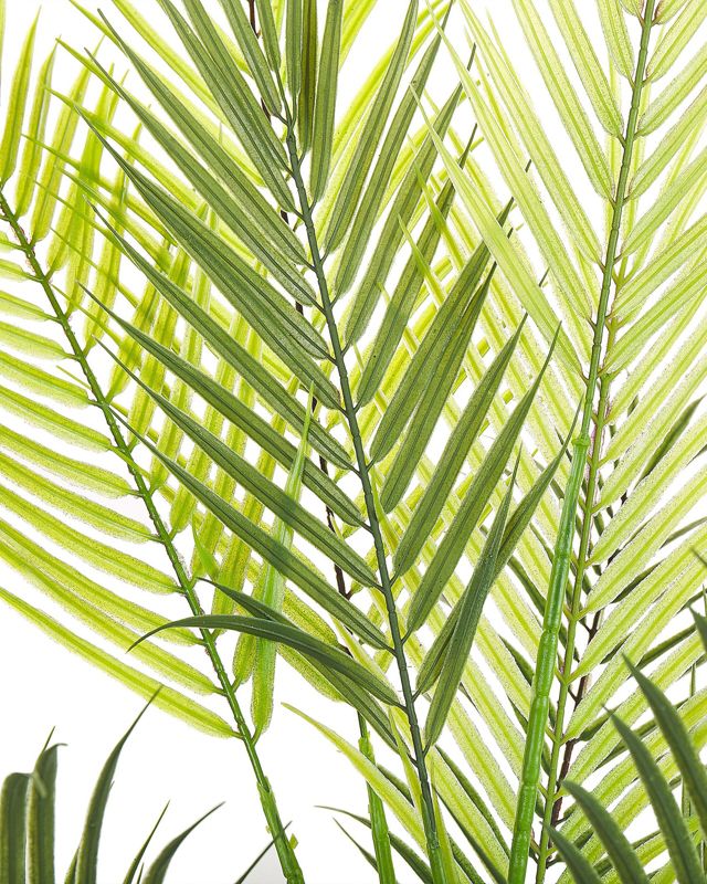 Sztuczna roślina Areca palm Zielony 1 szt.