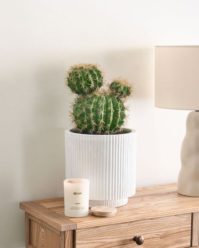 Sztuczna roślina Ball cactus Zielony 1 szt.