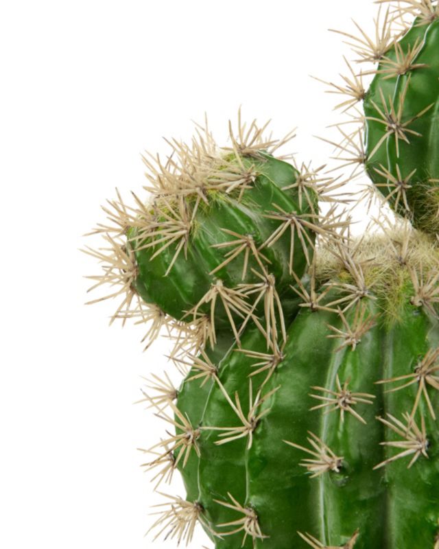 Sztuczna roślina Ball cactus Zielony 1 szt.