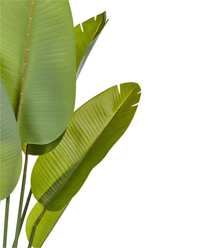 Sztuczna roślina Banana tree 187 cm Zielony 1 szt.