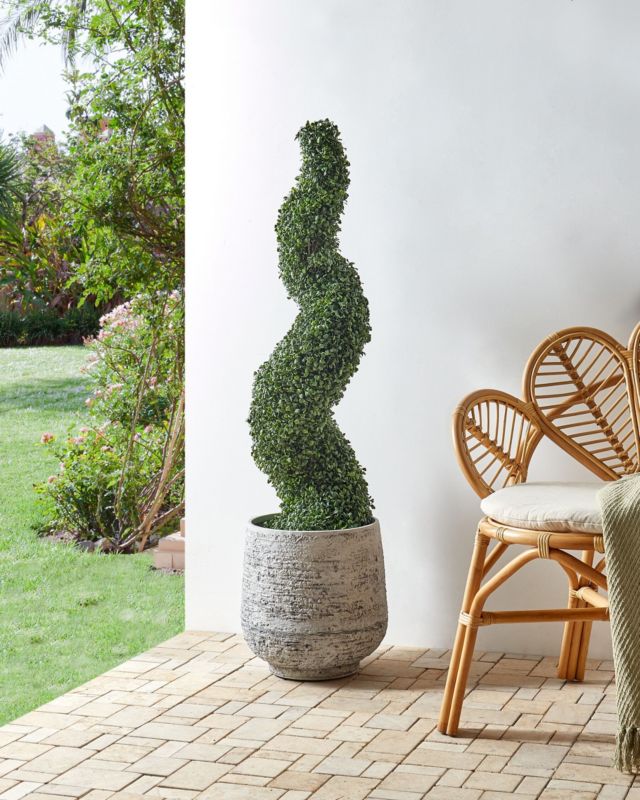 Sztuczna roślina Boxwood spiral tree Zielony 1 szt.
