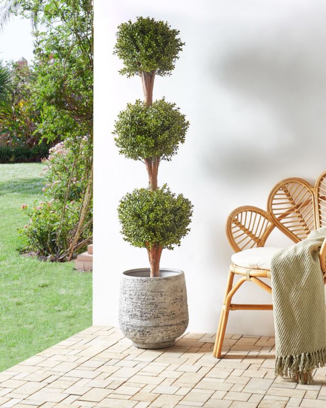 Sztuczna roślina Buxus ball tree Zielony 1 szt.
