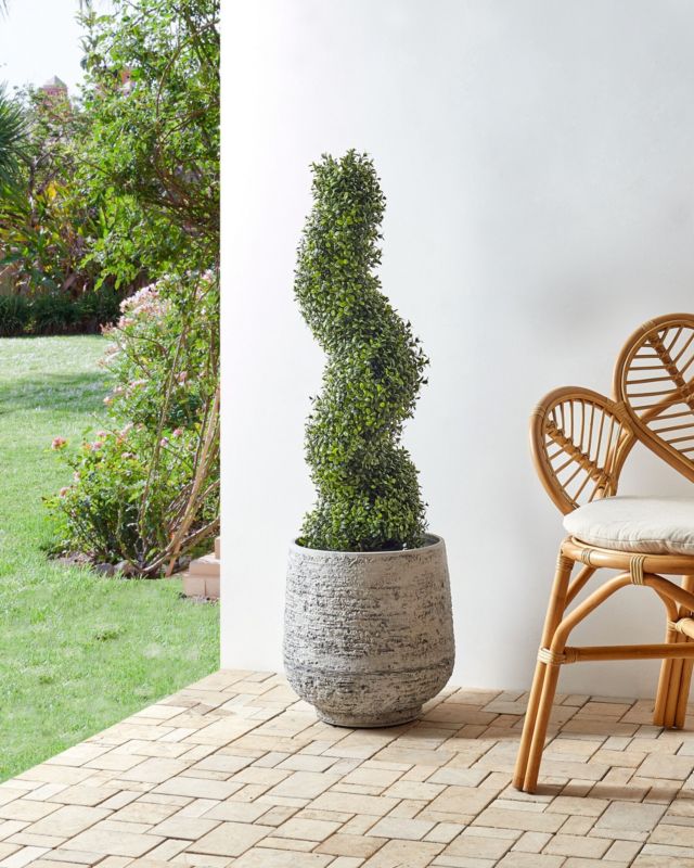 Sztuczna roślina Buxus spiral tree Zielony 1 szt.