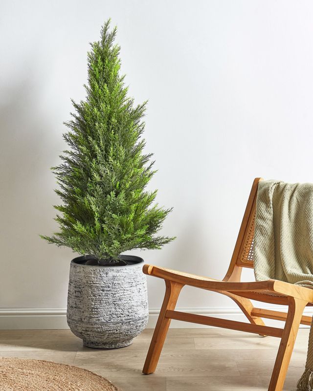 Sztuczna roślina Cedar tree Zielony 1 szt.