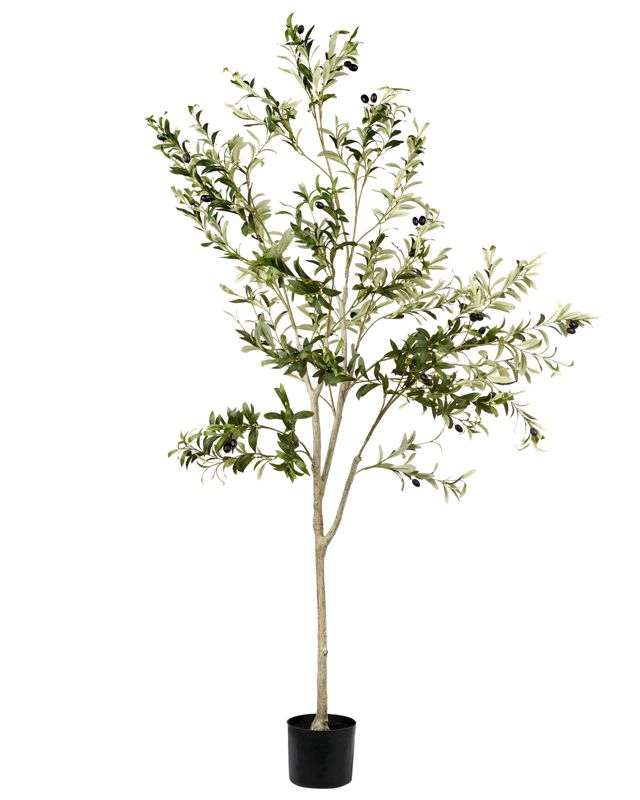 Sztuczna roślina doniczkowa 178 cm Olive tree 1 szt.
