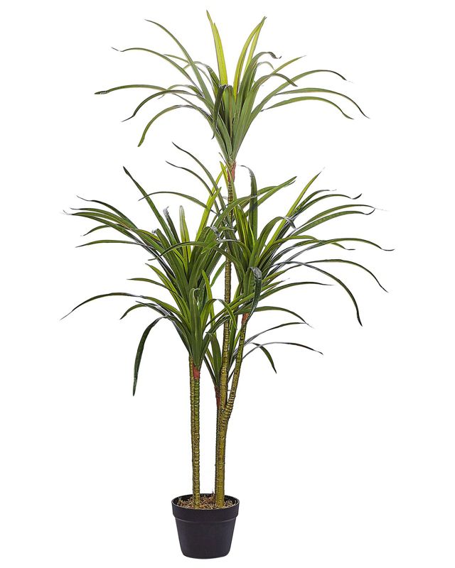 Sztuczna roślina Dracaena anita Zielony 1 szt.