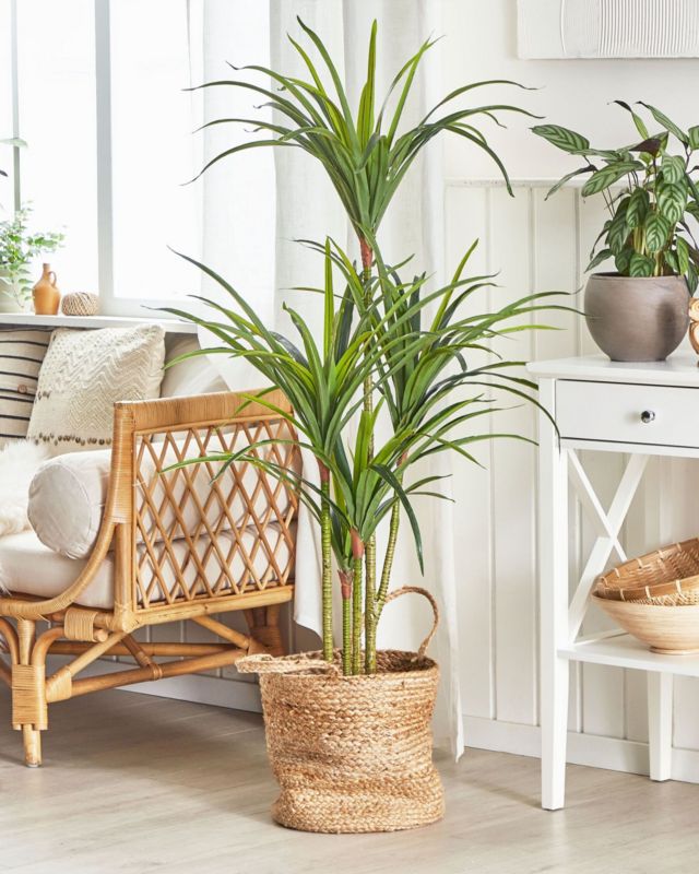 Sztuczna roślina Dracaena anita Zielony 1 szt.