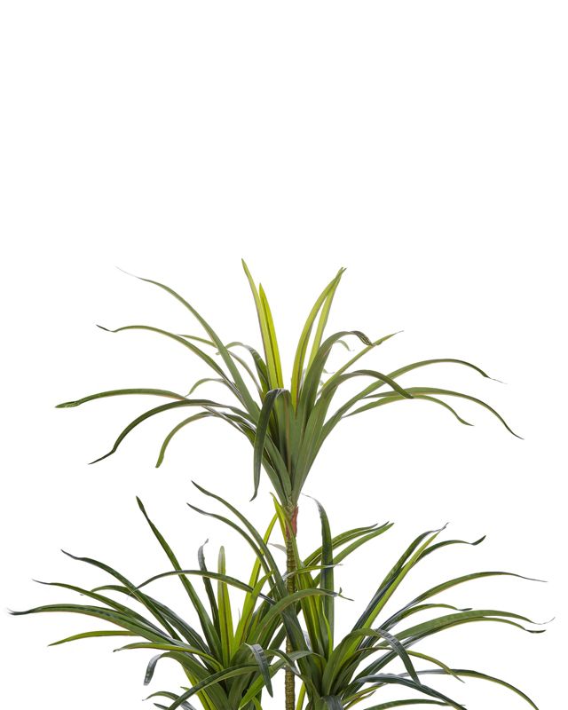 Sztuczna roślina Dracaena anita Zielony 1 szt.