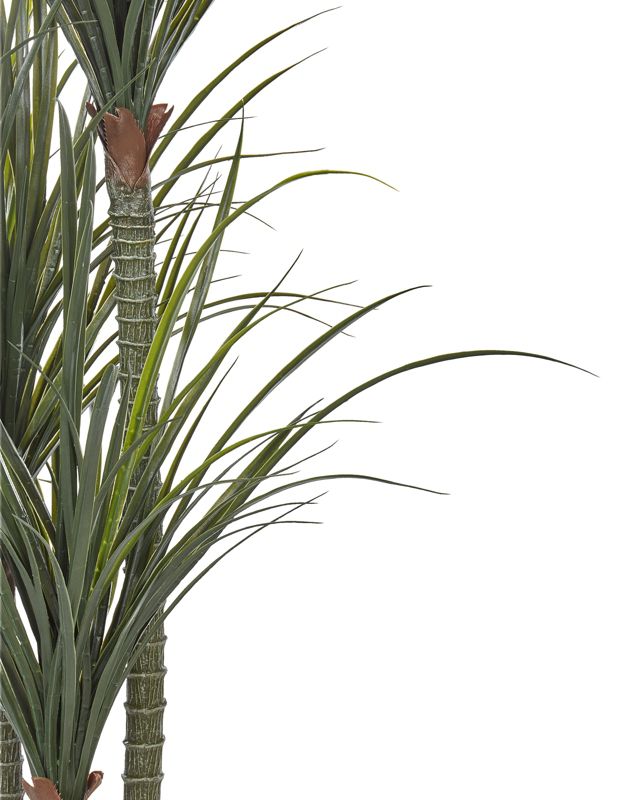 Sztuczna roślina Dracaena anita Zielony 1 szt.