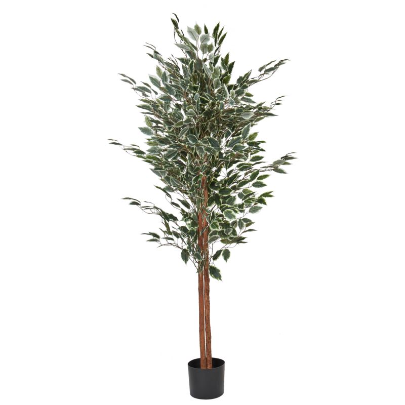 Sztuczna roślina Ficus 167 cm Zielony 1 szt.