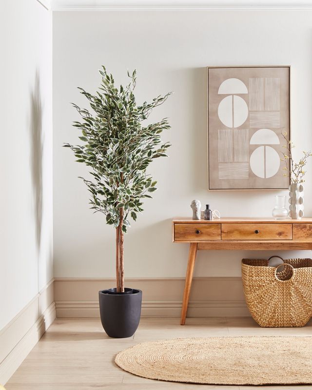 Sztuczna roślina Ficus 167 cm Zielony 1 szt.