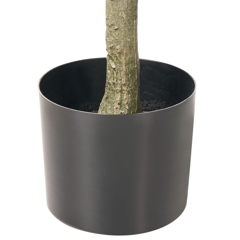 Sztuczna roślina Ficus tree 160 cm Zielony 1 szt.