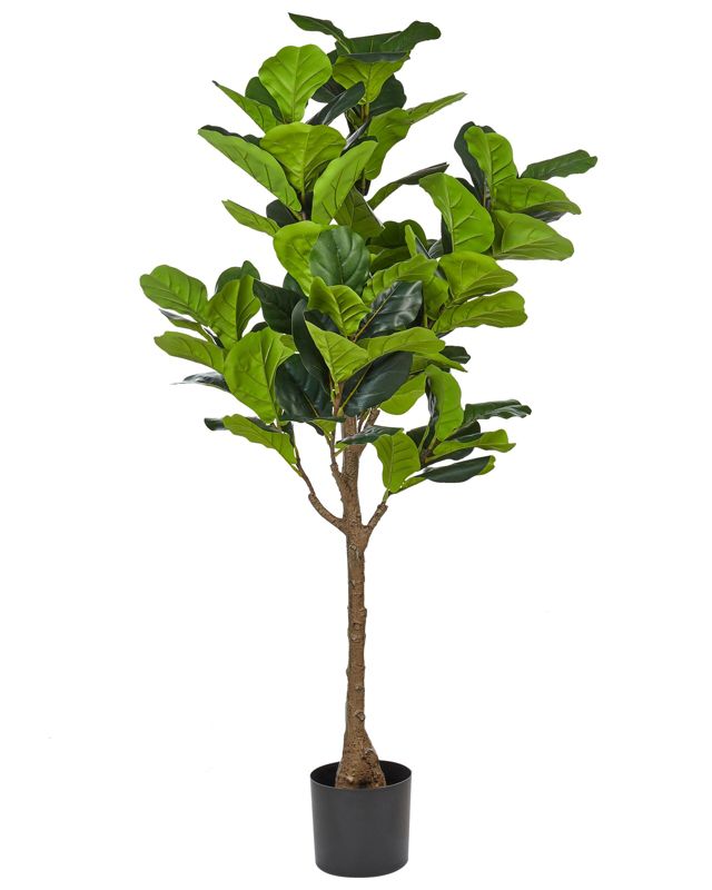 Sztuczna roślina Fig tree Zielony 1 szt.