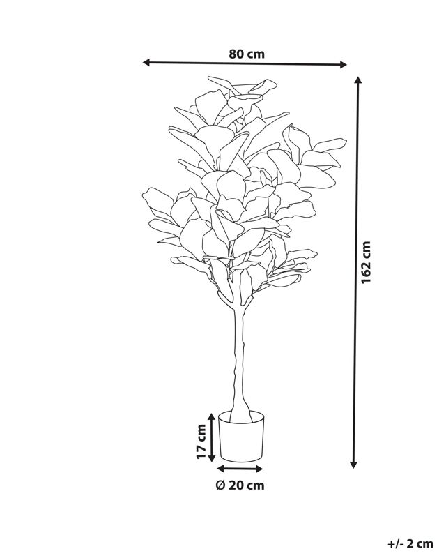 Sztuczna roślina Fig tree Zielony 1 szt.
