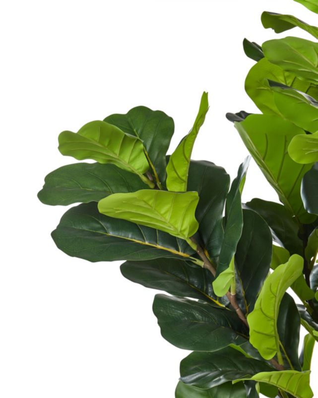 Sztuczna roślina Fig tree Zielony 1 szt.