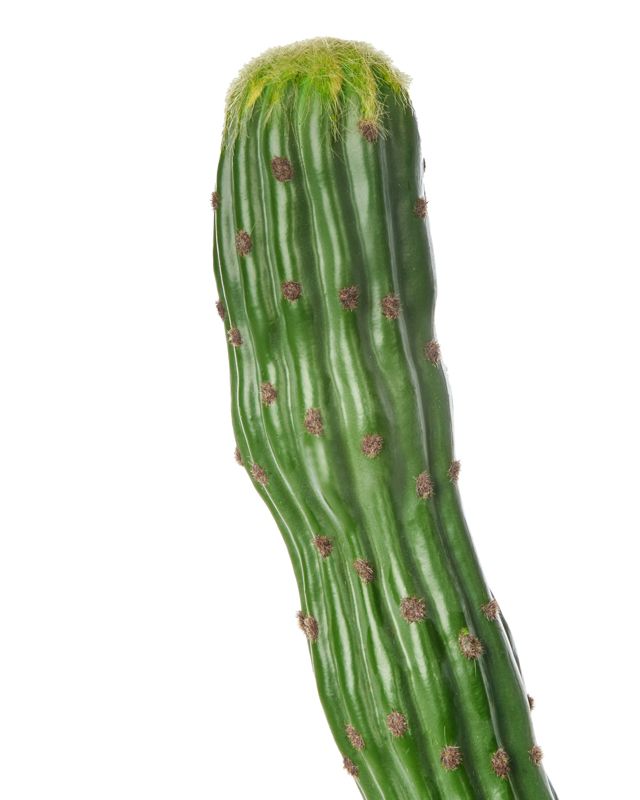Sztuczna roślina Marocco cereus Zielony 1 szt.