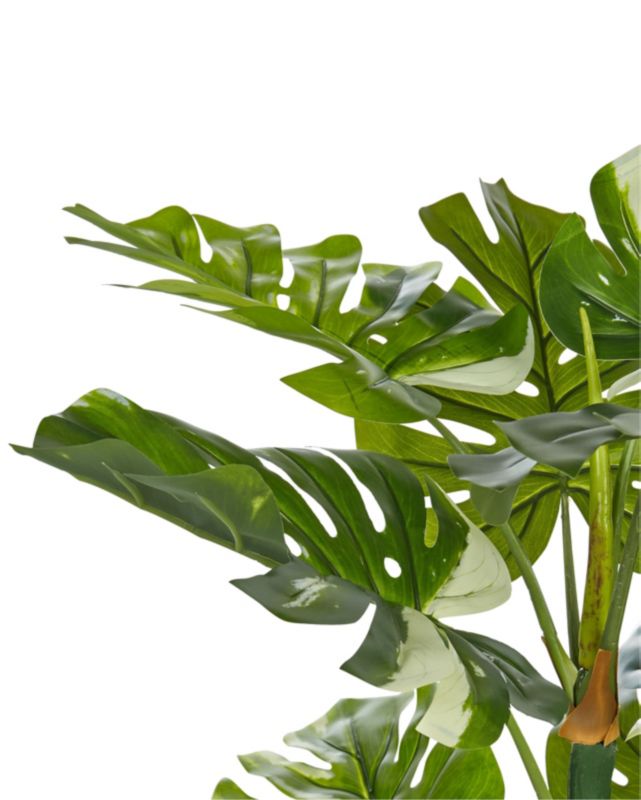 Sztuczna roślina Monstera plant 135 cm Zielony 1 szt.