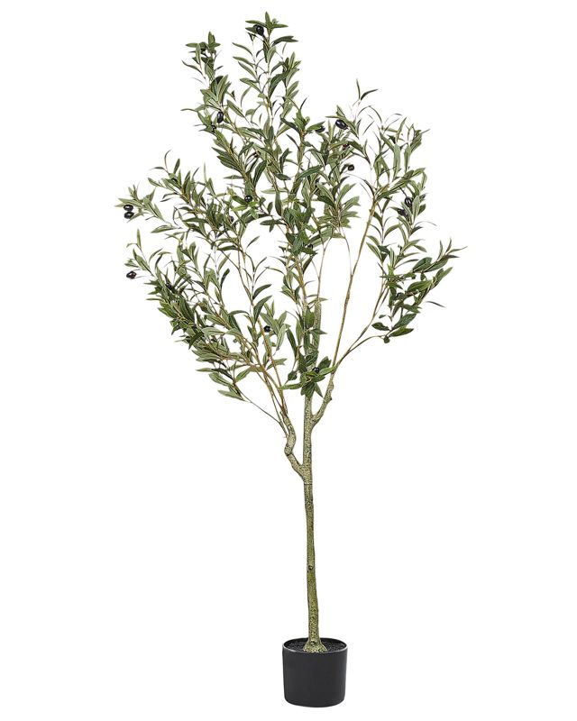 Sztuczna roślina Olive tree Zielony 1 szt.