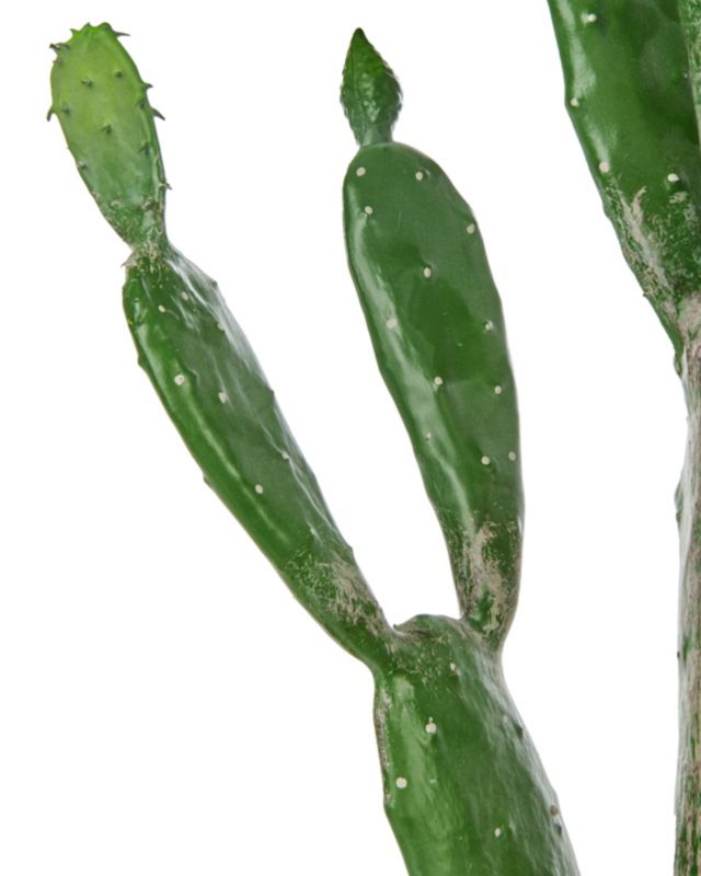 Sztuczna roślina Opuntia cactus Zielony 1 szt.