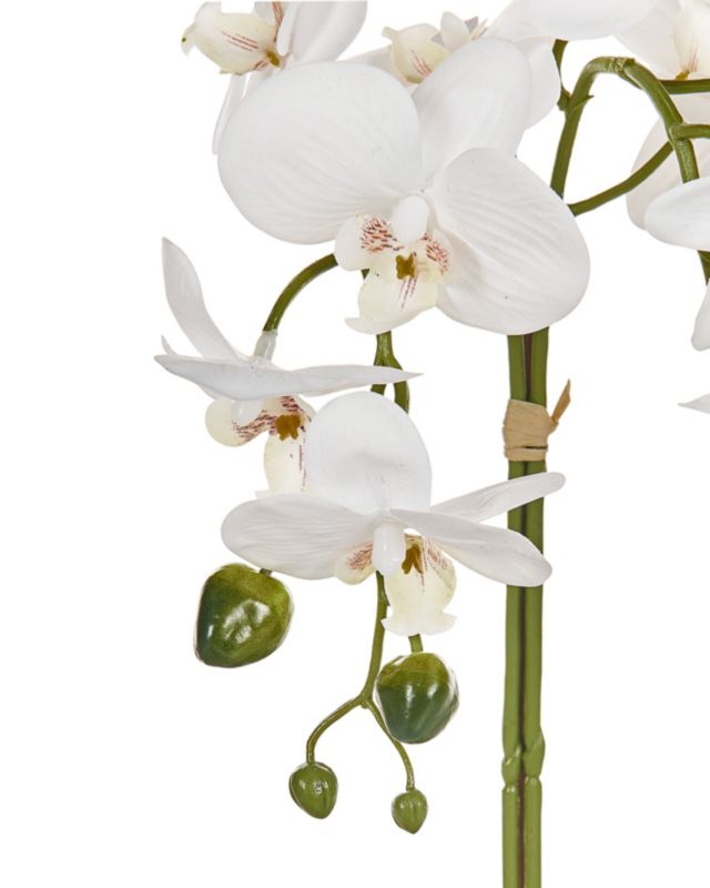 Sztuczna roślina Orchid Biały 1 szt.