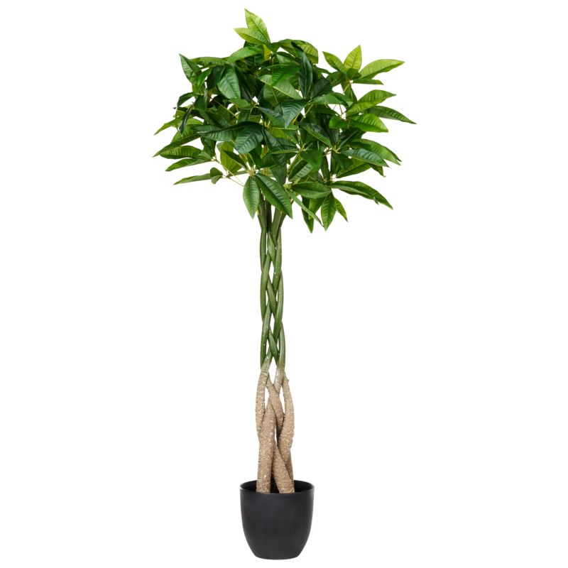 Sztuczna roślina Pachira tree 120 cm Zielony 1 szt.