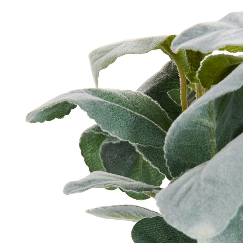Sztuczna roślina Peperomia argyreia 30 cm Zielony 1 szt.
