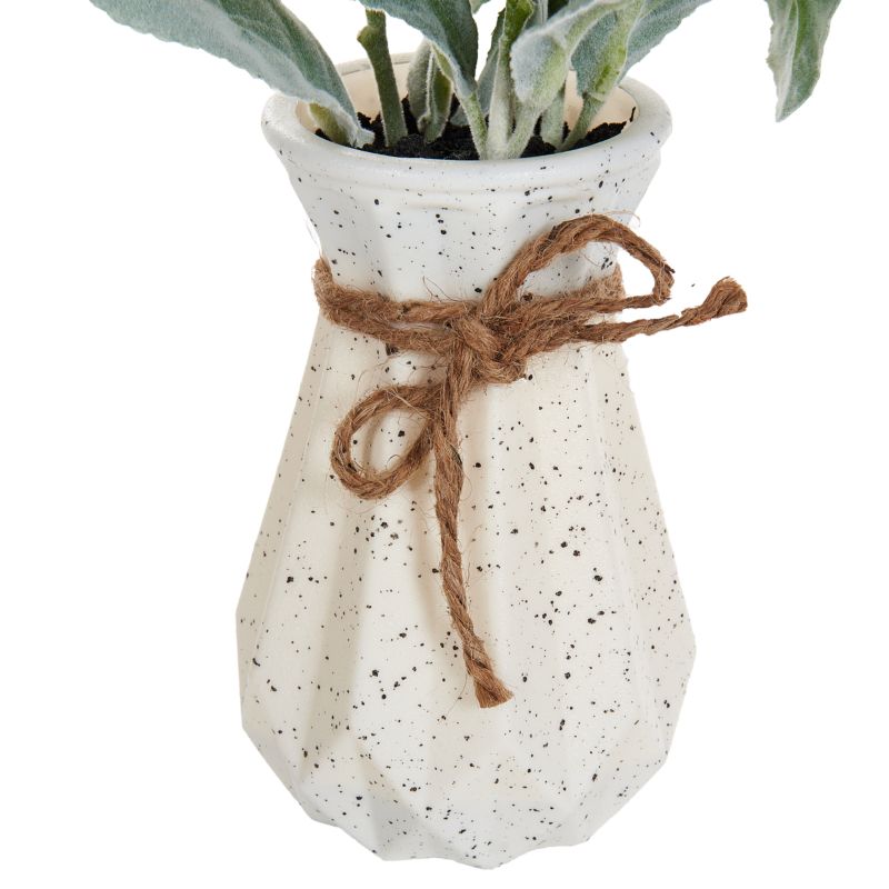 Sztuczna roślina Peperomia argyreia 30 cm Zielony 1 szt.
