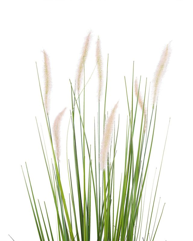 Sztuczna roślina Reed plant Zielony 1 szt.