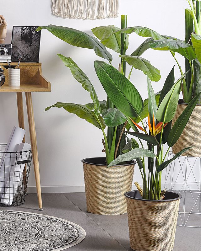 Sztuczna roślina Strelitzia tree 115 cm Zielony 1 szt.