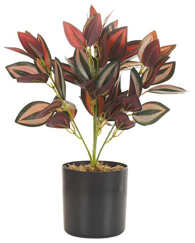 Sztuczna roślina Tradescantia Czerwony 1 szt.