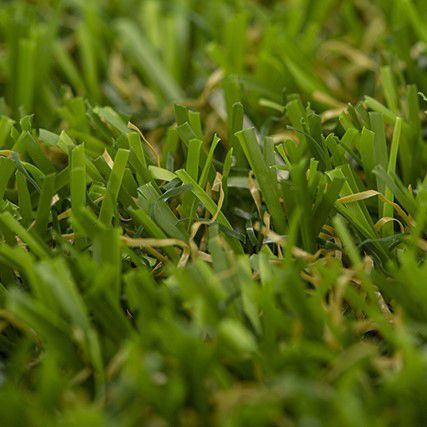 SZTUCZNA TRAWA PREMIUM ALVA 1,7CM 4.00 m, cena za 1m²