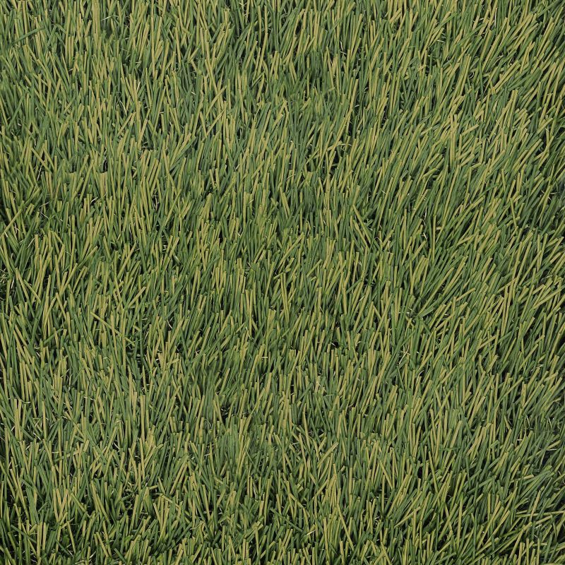 Sztuczna trawa Rosa 2 m