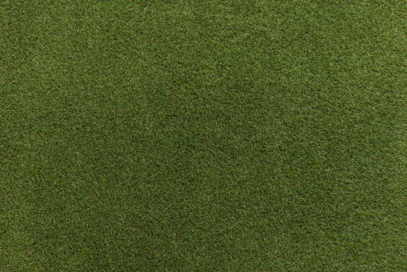 Sztuczna trawa RugsX 200x550 cm zieleń 131712 1 szt.