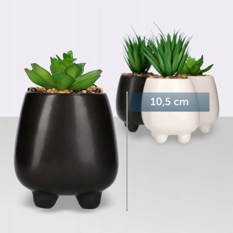 Sztuczny Kwiat KADAX Roślina Ozdobny Sukulent 10,5 cm Czarny 1 szt.