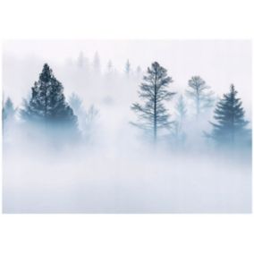 Tapeta Do Salonu Sypialni Las Mgła WALLARENA 300x210 cm Fototapeta Dekoracja Ścienna 1 szt.