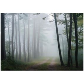 Tapeta Na Flizelinie Ścianę WALLARENA 350x250 cm Fototapeta Do Sypialni Salonu Kuchni Las Natura 1 szt.