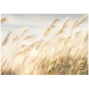Tapeta Na Flizelinie Ścianę WALLARENA 400x280 cm Fototapeta Do Sypialni Salonu Kuchni Boho Trawa Pampasowa 1 szt.