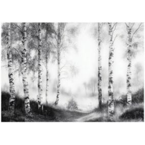 Tapeta Na Flizelinie Ścianę WALLARENA 400x280 cm Fototapeta Do Sypialni Salonu Kuchni Las Czarno Biały 1 szt.