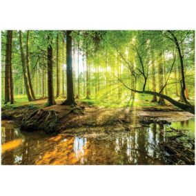 Tapeta Winylowa Na Flizelinie WALLARENA 254x184 cm Fototapeta Do Sypialni Salonu Las  1 szt.