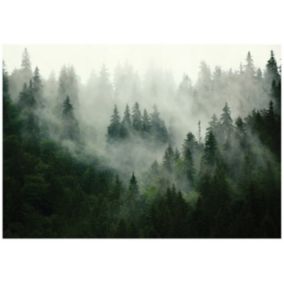 Tapeta Winylowa Na Flizelinie WALLARENA 368x254 cm Fototapeta Do Sypialni Salonu Las We Mgle 1 szt.
