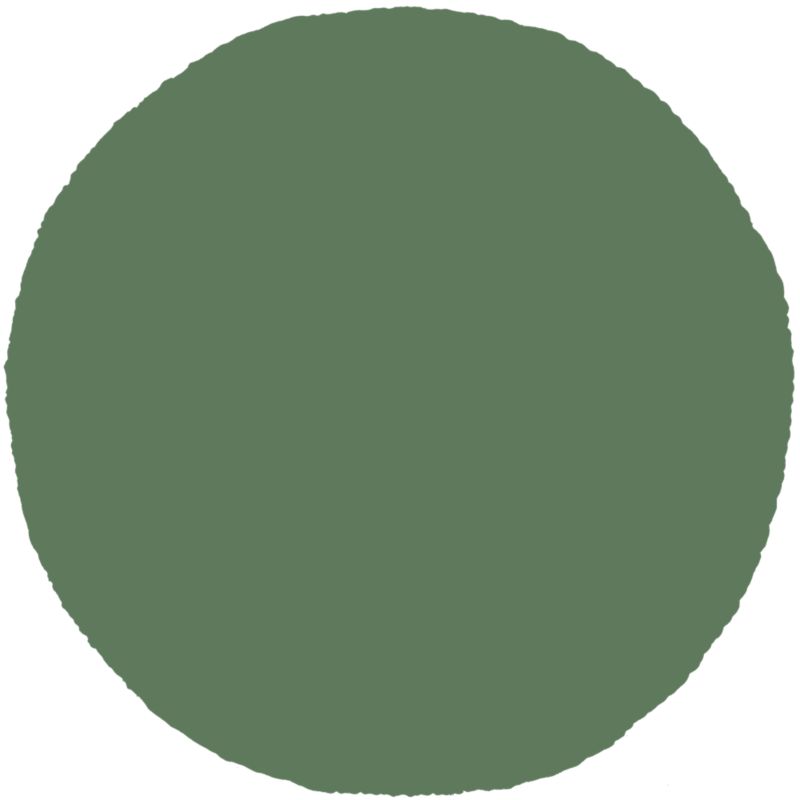 Tester farby Dulux EasyCare tropikalna zieleń 0,03 l
