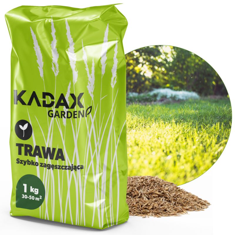 Trawa KADAX Nasiona Uniwersalna szybko Zagęszczająca Trawnik Odporna 1kg 40m2