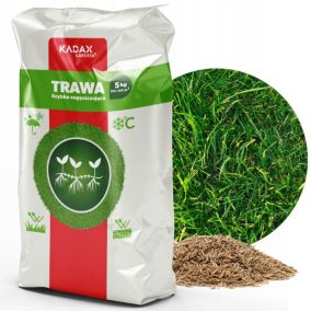 Trawa KADAX Uniwersalna szybko Zagęszczająca 5kg 200m2