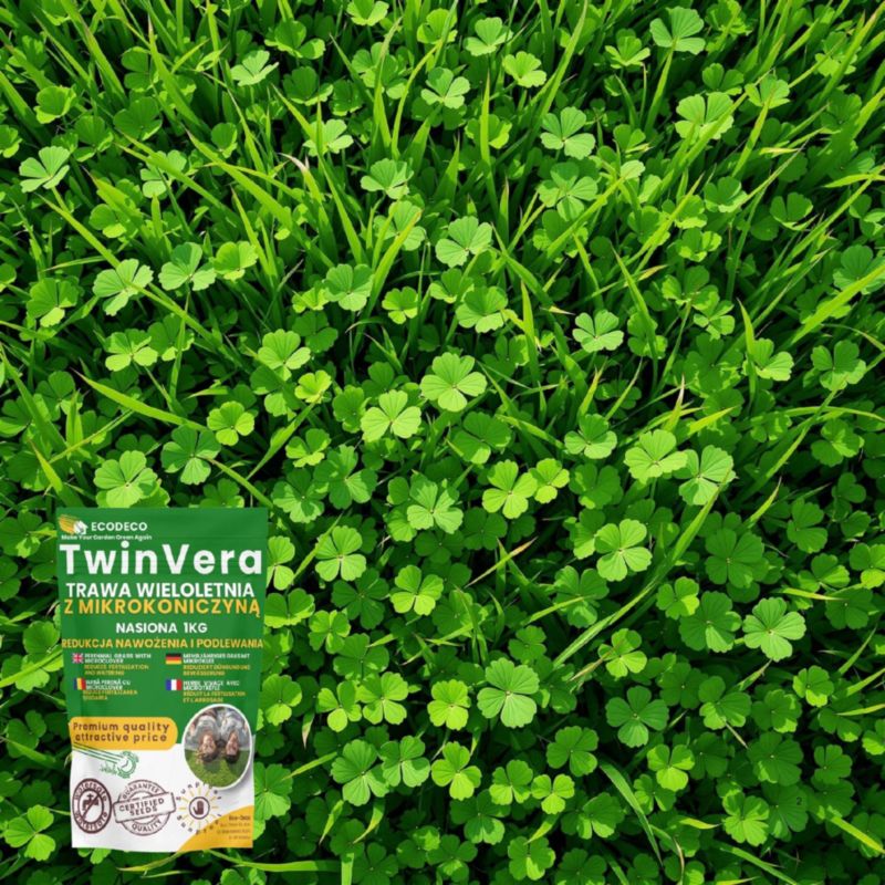 Trawa Na Suszę Eco Deco Odporna Na Suche Gleby Nasiona Trawy 1 Kg Z Mikrokoniczyną 1 szt.