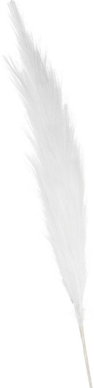 Trawa pampasowa Jumi biała 80 cm