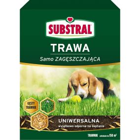 Trawa uniwersalna Substral samo zagęszczająca 3 kg