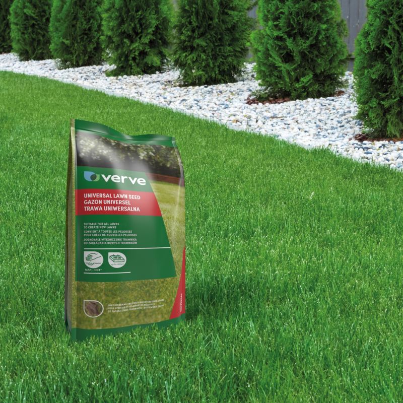 Trawa uniwersalna Verve 10 kg