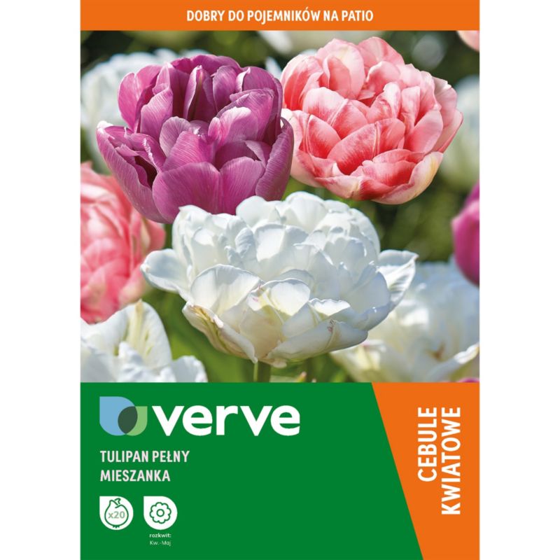 Tulipany double Verve mix