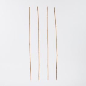 Tyczka bambusowa Verve 120 cm